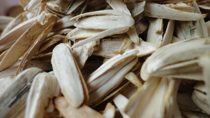 Empty shells of sunflower seeds trash closeup background