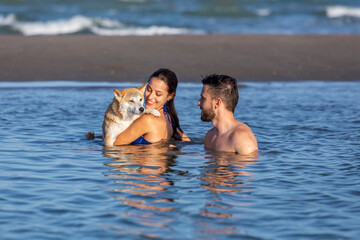 A young pretty couple cuddling and playing with a dog inside the water of a beach