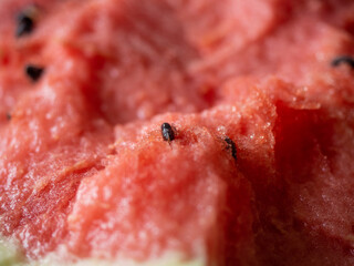 Juicy ripe watermelon in half on a white table
