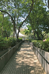 Outdoor footpath, handle fence, green plant and tree in the park