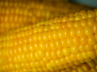 Sweet hot corn on white table