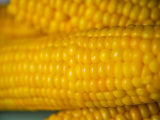 Sweet hot corn on white table