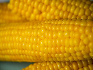 Sweet hot corn on white table