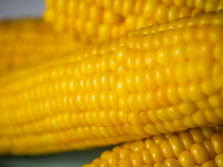 Sweet hot corn on white table