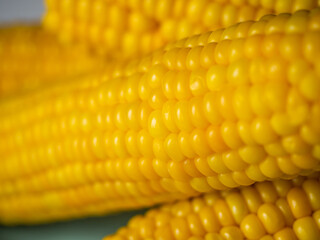 Sweet hot corn on white table