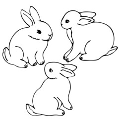 vector illustration in doodle style in black, hares, rabbits, isolate on a white background