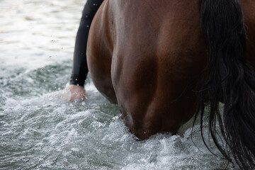 Detail Pferdehintern und Bein eines Reiters im Wasser