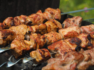 Metal skewers with grilled pork meat on them, on the grill, against the background of green meadow...