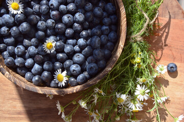 Summer composition with blueberries and daisies. Photo image.