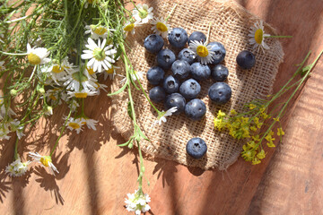 Summer composition with blueberries and daisies. Photo image.