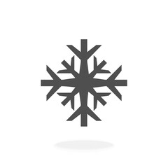 Snow Flake Icon Vector Illustration Symbol
