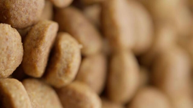 UHD macro of the healthy dry food for dog or cat on rotating stand. Dry Pet Food Rotating. Nutrition for Cats and Dogs