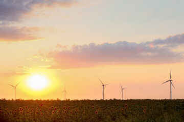 Fototapeta na wymiar Windmills for electric power in countryside