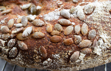 Artistic composition in natural daylight. Toasted crust of homemade whole wheat sourdough bread with pumpkin seeds. Close-up. Focus on seeds