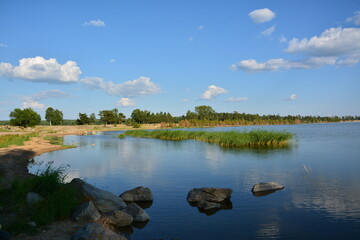 Fototapeta na wymiar landscape pond with thickets against the blue sky