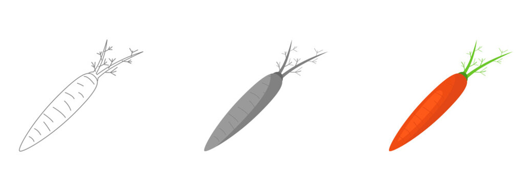 Vector Carrot Images Browse 146 Stock Photos Vectors And Video