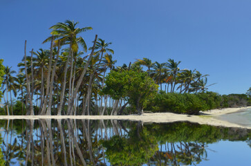 Fototapeta na wymiar paradise beach blue sky caribbean sea Venezuela