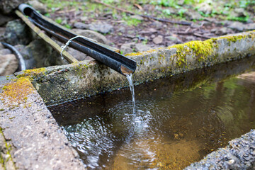 Crystal clean mountain creek flowing through plastic pipe in to a concrete tank for watering the domestic animals in the forest.