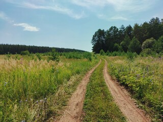 Fototapeta na wymiar road in a green field near the forest against a blue sky