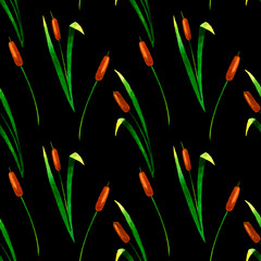 Marsh plants seamless pattern with cattails.Botanical watercolor illustration.Isolated on black background.For fabrics, textiles, wrapping paper,packaging,for the design of school and office supplies. © Elena Nikolaeva