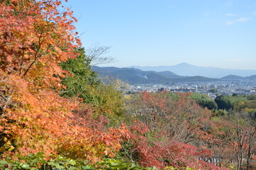 紅葉の京都
