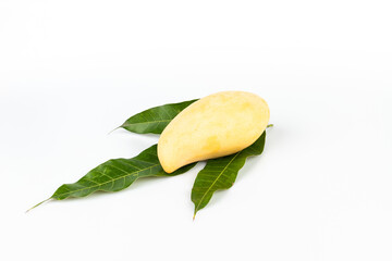 Delicious ripe mango with on white background
