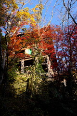 総本山 奈良 長谷寺 NARA Hasedera Temple
