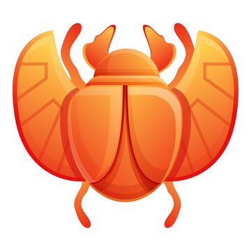 Sun scarab beetle icon. Cartoon of sun scarab beetle vector icon for web design isolated on white background