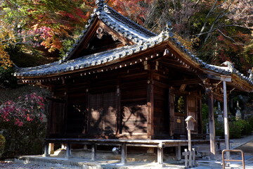 総本山 奈良 長谷寺 NARA Hasedera Temple