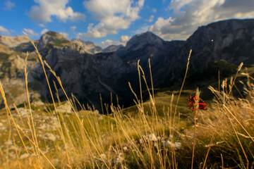 Durmitor mountain in Montenegro