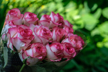 A bouquet of lilac-white roses, gathered together, against a background of green grass and leaves.