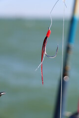 Leurre souple pour pêcheur