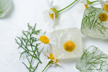 Obraz na płótnie Canvas cosmetic ice cubes with chamomile and mint for home care applies to the face. The concept of skin care. cosmetics with herbs on a light background