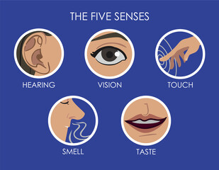 Icon set for the five different senses: hearing, vision, touch, smell, tast