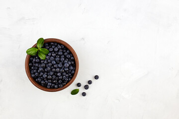Fototapeta na wymiar Blueberries in a ceramic bowl on a light background