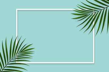Fototapeta na wymiar Natural green palm leaf with white frame on pastel green background, nature background