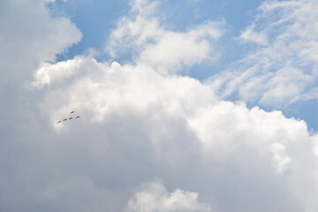 Clouds background. Blue sky with fluffy white clouds. Sunny day with beautiful weather.