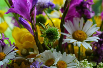 Close up of still life with bouquet of spring wild flowers. Mixed colorful wildflowers on natural background. Spring or summer floral backdrop.