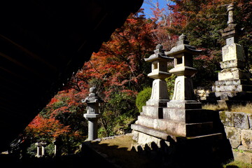 総本山 奈良 長谷寺 NARA Hasedera Temple