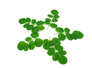 Moringa leaves, green herbs, isolated on a white background, extracting water and methanol of the leaves have the potential to lower blood pressure.