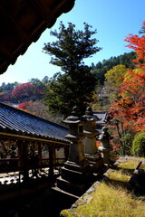 総本山 奈良 長谷寺 NARA Hasedera Temple
