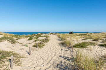 CAP FERRET (Bassin d'Arcachon, France), accès à la plage de La Torchère sur l'Atlantique