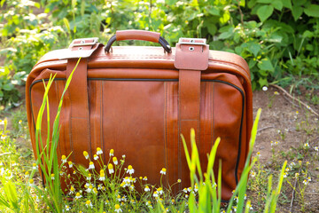 Old suitcase on the background of nature