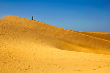 alone man looking at the horizon in the desert