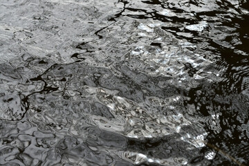 creative modern water texture picture by Lola Moser