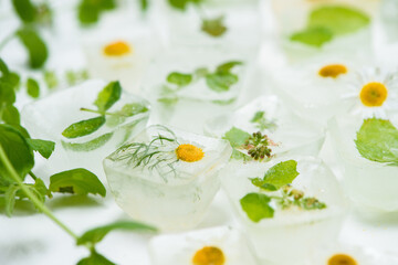 Obraz na płótnie Canvas cosmetic ice cubes with chamomile and mint for home care applies to the face. The concept of skin care. cosmetics with herbs on a light background