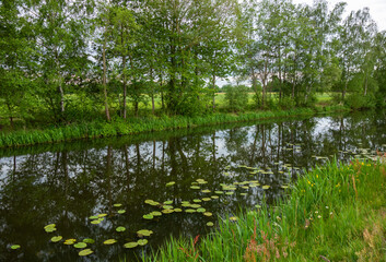 Landscape with trees reflecting in the channel near Almelo, Netherlands
