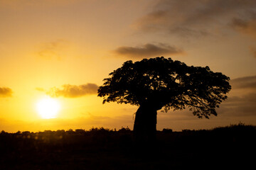 P&ocirc;r do sol Angola