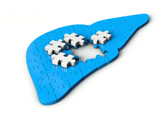 Puzzle pieces in shape of Liver. Liver shaped jigsaw 3d illustration isolated on white background.