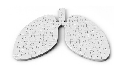 Puzzle pieces in shape of Lung. Lung shaped jigsaw 3d illustration isolated on white background.